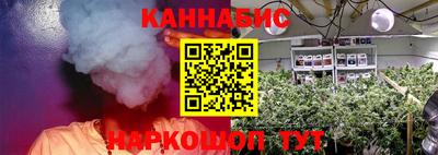 стафф Свободный