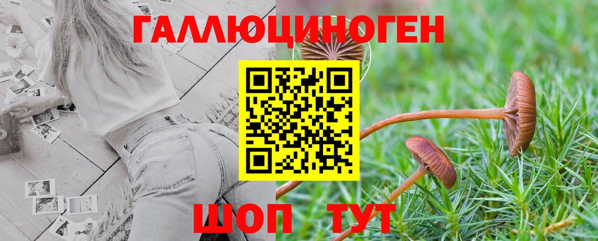 Псилоцибиновые грибы мухоморы Сертолово